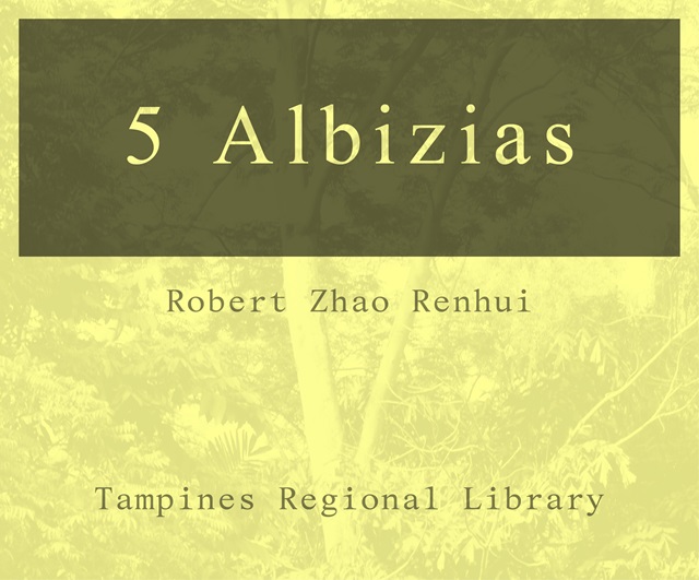 5 Albizias