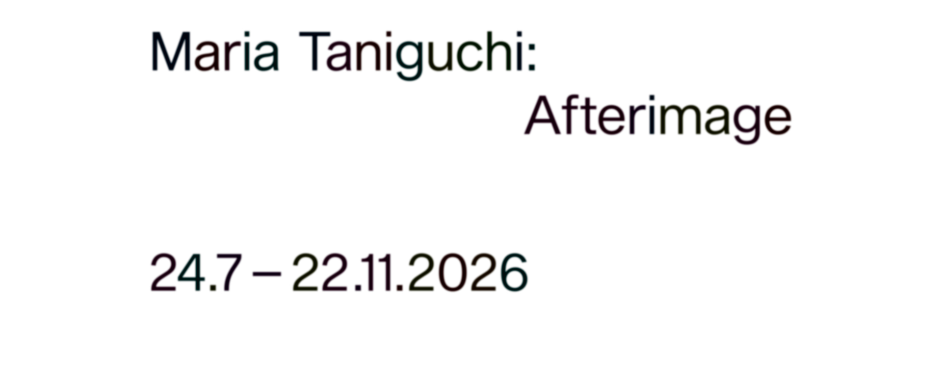 Maria Taniguchi: Afterimage
