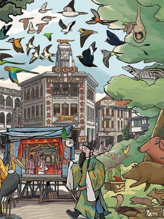SAM Hoarding Commission: 'An Unnatural History' by Darel Seow with Lee Xin Li