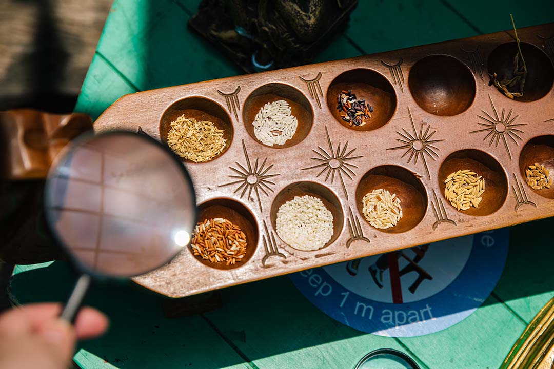 Different varieties of rice grains.