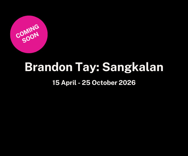 Brandon Tay: Sangkalan