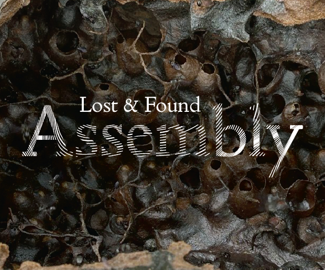 Lost & Found: Assembly​