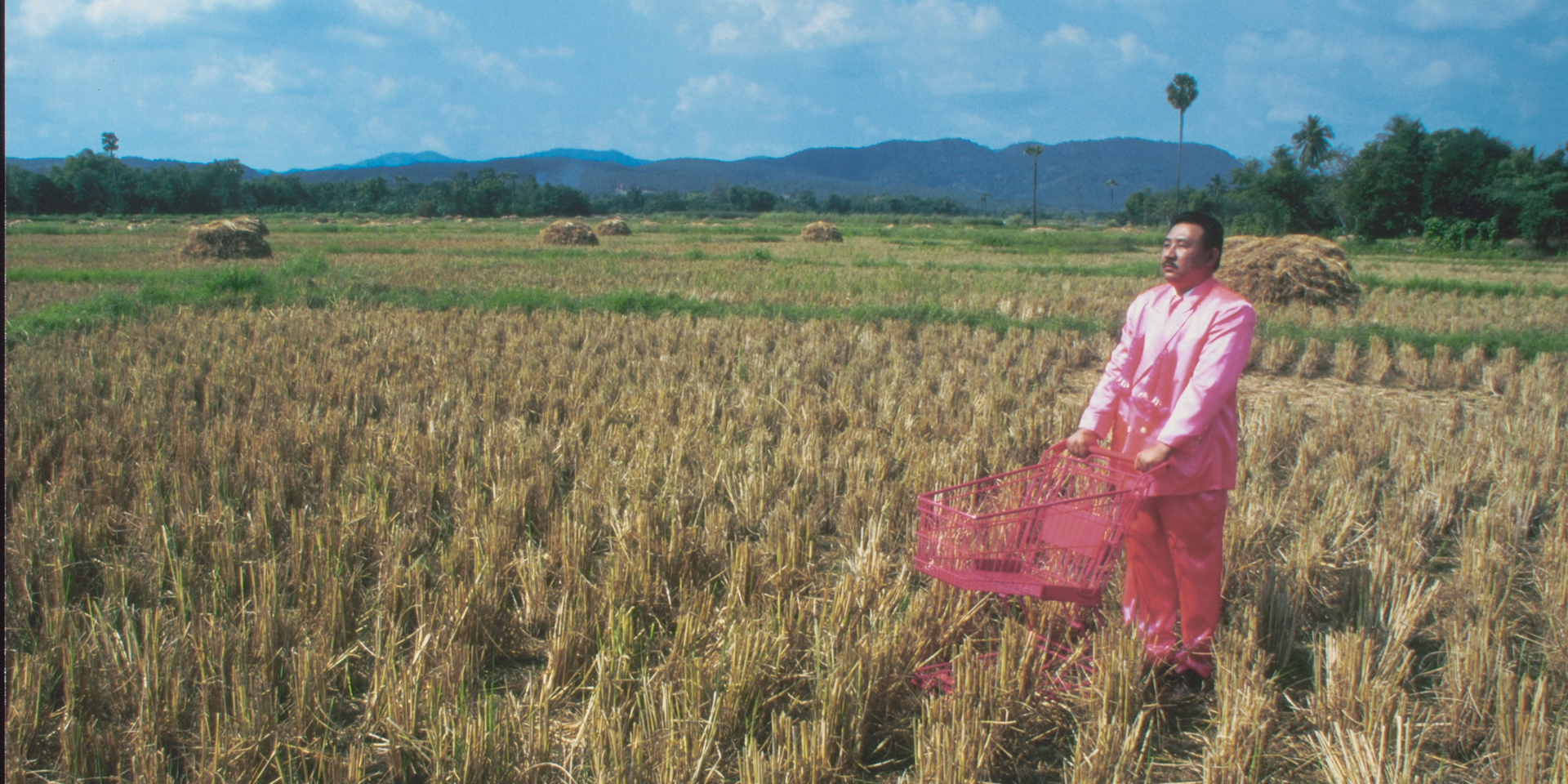 Pink Man on Tour #6 (Amazing Rice Field, Northern Thailand)