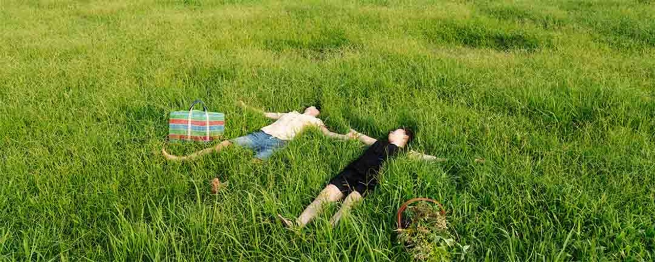 Weed Day