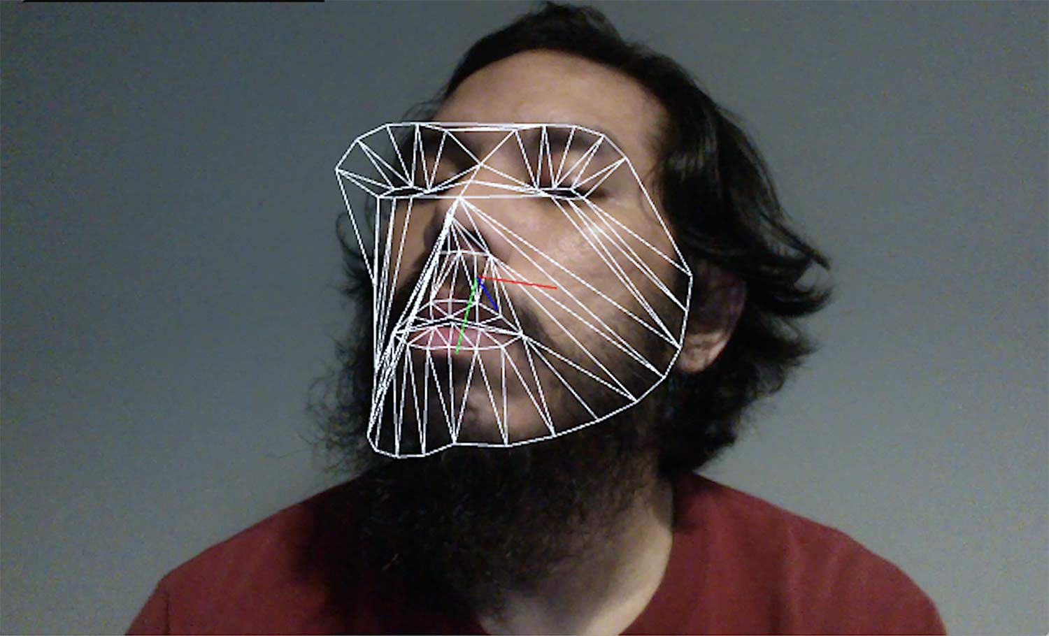 bani haykal. 'Laptop camera and faceOSC.' 2017. Image courtesy of the artist.