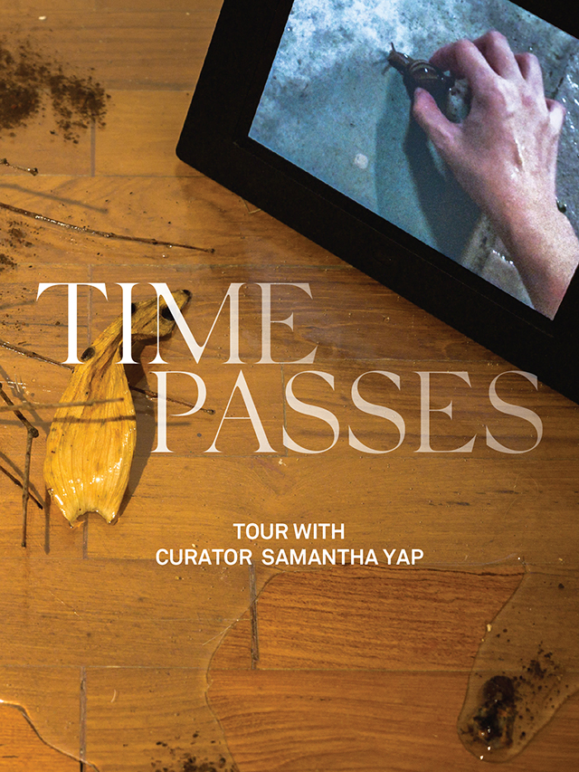 'Time Passes' Tour with Curator Samantha Yap