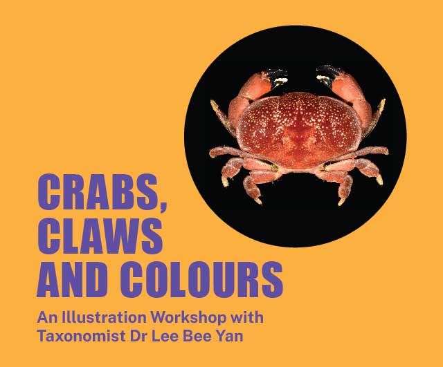 Crabs Claws and Colours