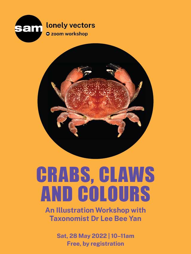 Crabs, Claws and Colours