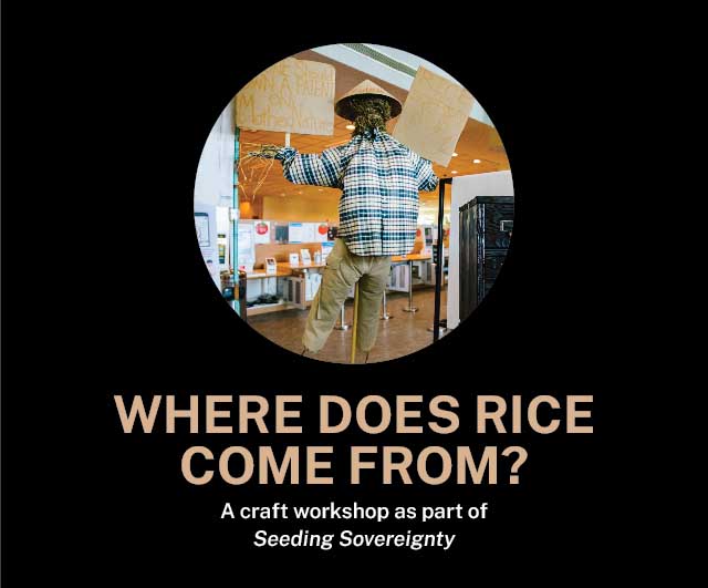 Where does rice come from?