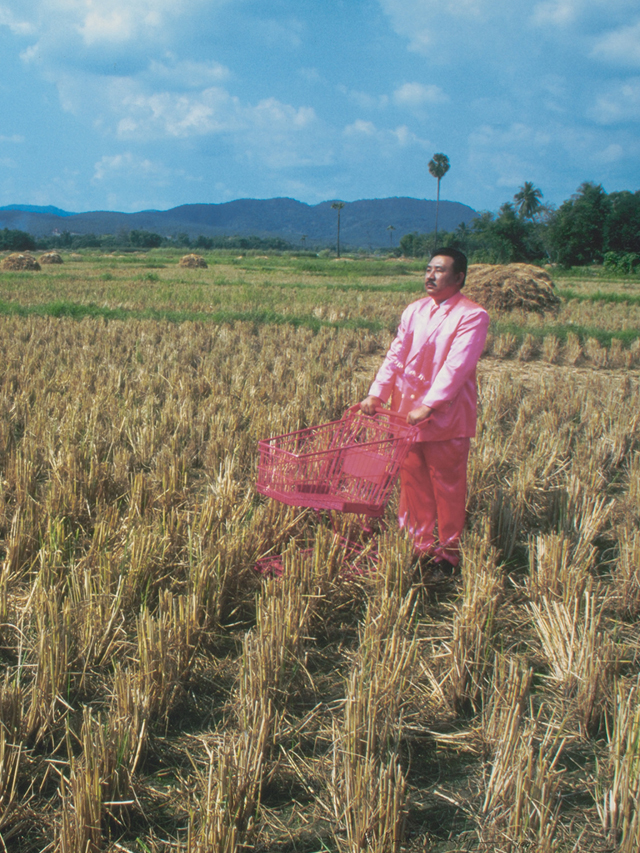Pink Man on Tour #6 (Amazing Rice Field, Northern Thailand)