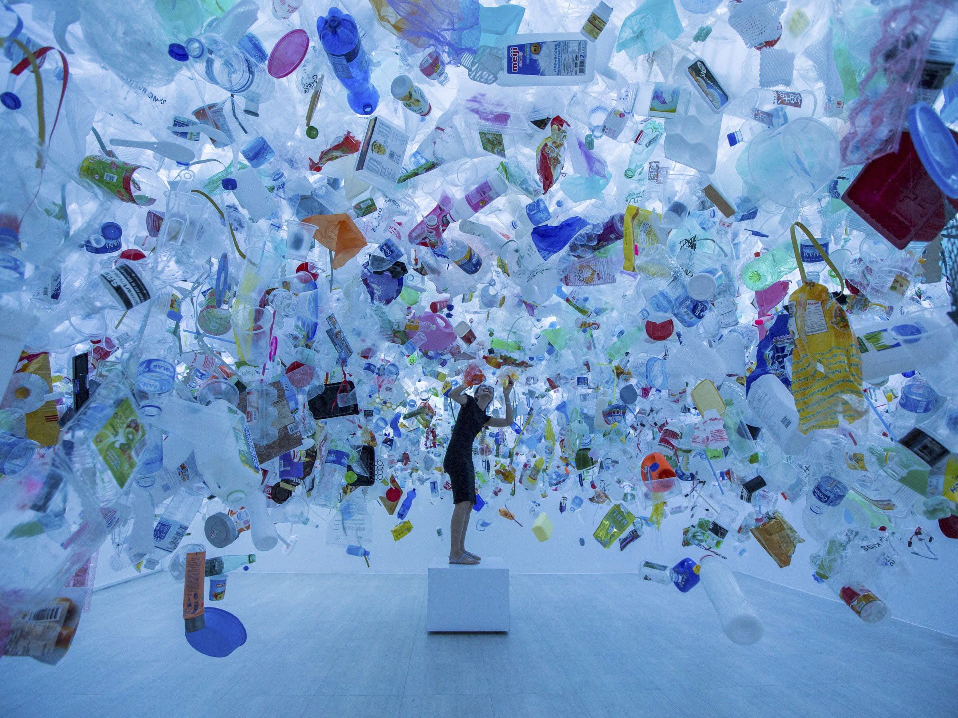 Imaginarium Over The Ocean Under The Sea Singapore Art Museum