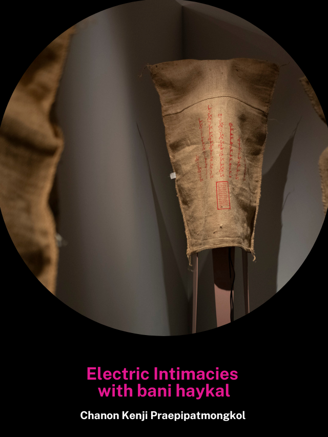 Electric Intimacies with bani haykal