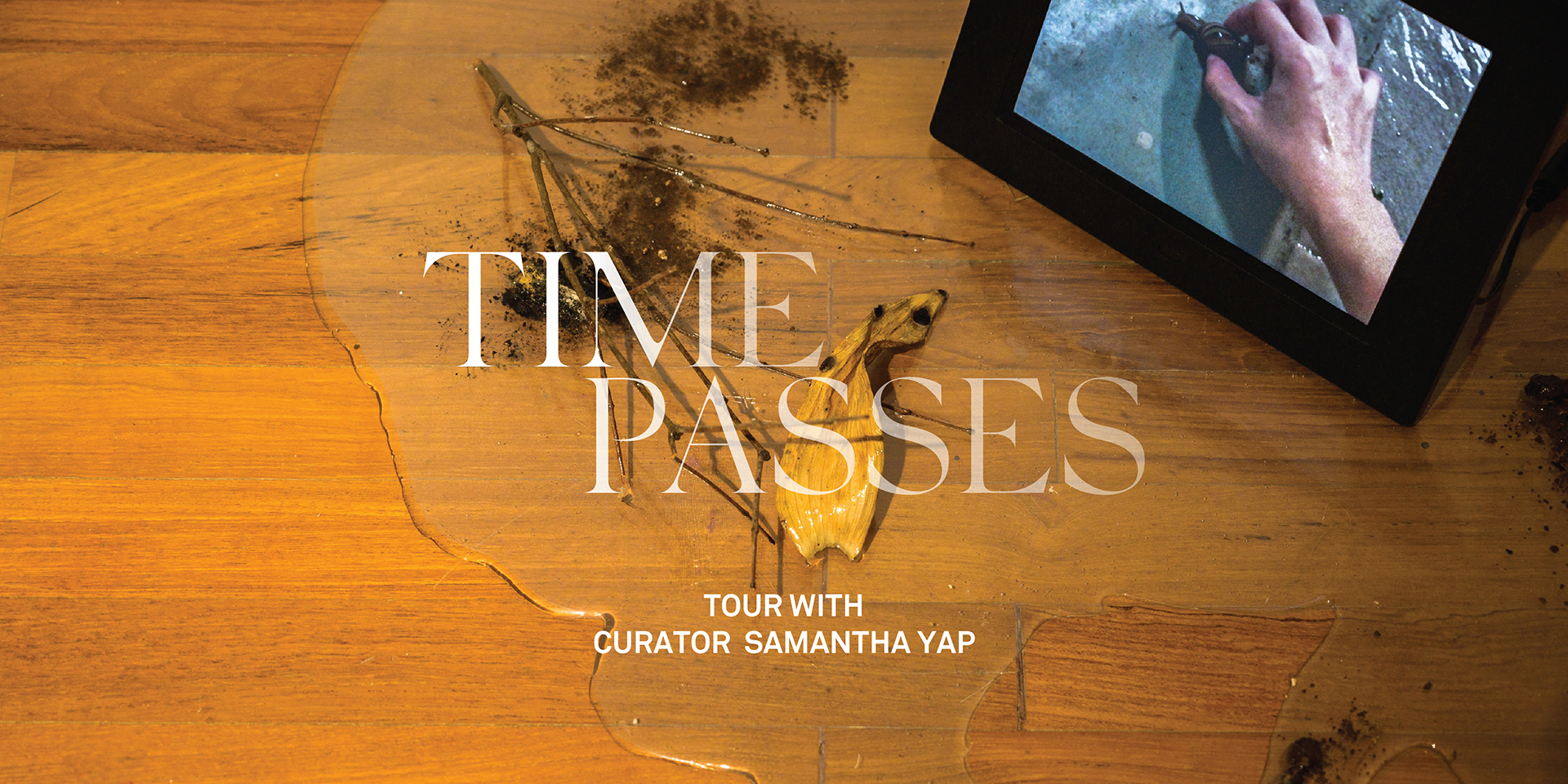 'Time Passes' Tour with Curator Samantha Yap